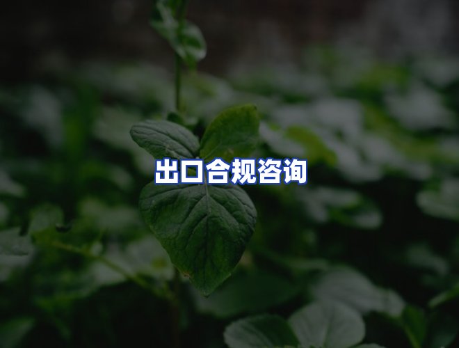 专业团队
